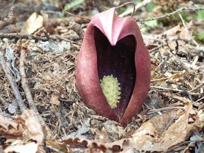 一般社団法人 日本アウトドアネットワーク
